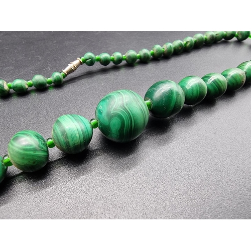 742 - A graduated malachite bead necklace, 51cm.