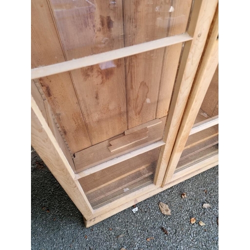 1013 - A Victorian glazed pine bookcase, 82cm wide x 32cm deep x 152cm high. 