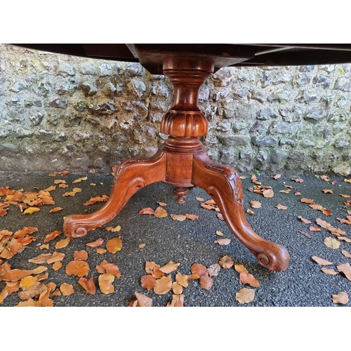 1049 - A large mahogany circular top tripod table, 117cm wide. 