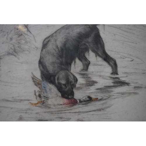 1151 - George Vernon Stokes, gundog and mallard, signed and numbered 40/75, colour etching, pl.24.5 x 29cm.... 