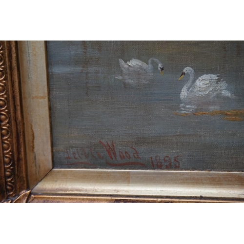 1152 - Debbie Wood, swans on a pond, signed and dated 1895, oil on canvas, 34 x 50cm. ... 