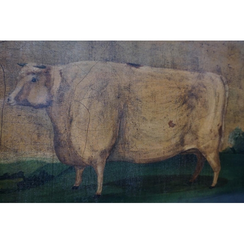 1197 - British School, modern, a cow in a landscape, oil on canvas, 41 x 56cm, unframed.