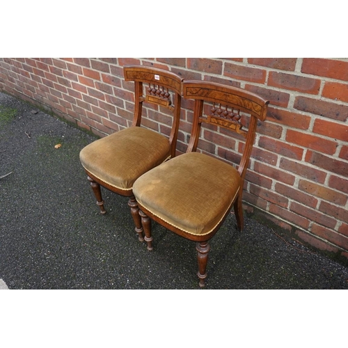 1454 - A pair of 19th century Continental walnut and ebonized dining chairs.