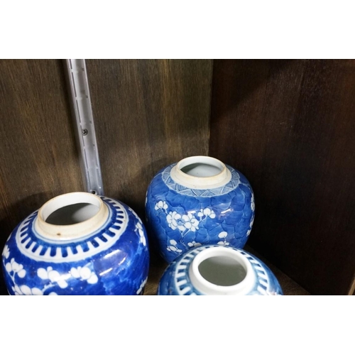 1563 - A collection of Chinese blue and white prunus items, largest 30cm high.