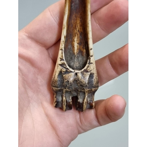 1645 - A bone stilton scoop; together with another unusual antler example, 13cm long.