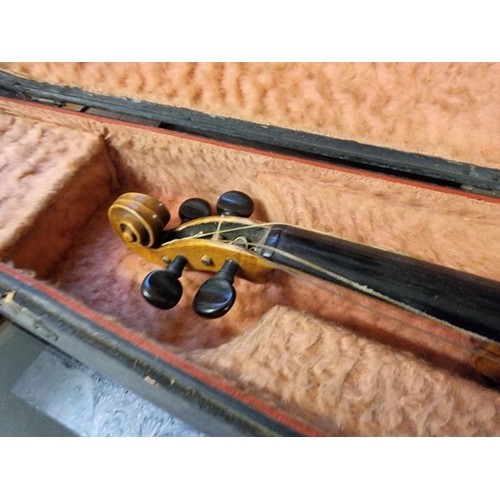 1681 - A Continental violin, with 14in two piece back, with ebonized case. 