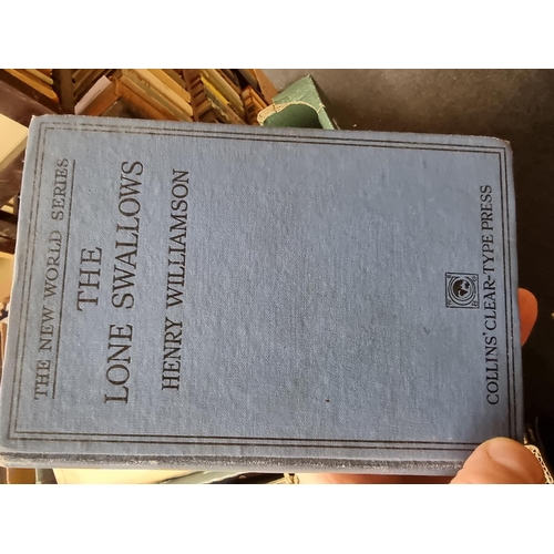 154 - WILLIAMSON (Henry): 'The Lone Swallows..', London, Collins, 1922: FIRST EDITION, publishers cloth ba... 