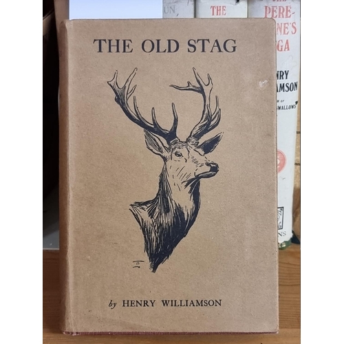 155 - WILLIAMSON (Henry): 'The Old Stag', London, Putnams, 1926: FIRST EDITION. Inscribed to front FE... 