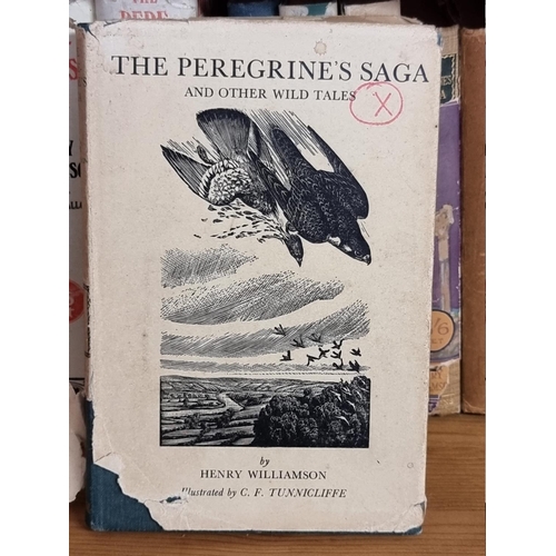 156 - WILLIAMSON (Henry): 'The Peregrine's Saga..', London, Collins, 1923: FIRST EDITION. Publishers green... 