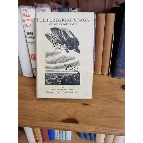 156 - WILLIAMSON (Henry): 'The Peregrine's Saga..', London, Collins, 1923: FIRST EDITION. Publishers green... 