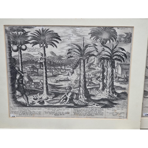 258 - PRINTS/ENGRAVINGS: a small quantity in mounts, 17th-19thc.