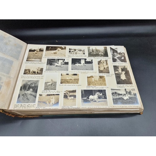 272 - FEMALE TRAVELLER: two extensive photograph albums from the 1920s belonging to one Miss D I Hoddinott... 