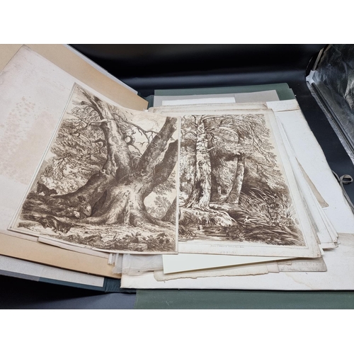 276 - PRINTS & ENGRAVINGS: TREES, 'The Dracaena Draco, or Celebrated Dragon Tree at Orotava in th... 