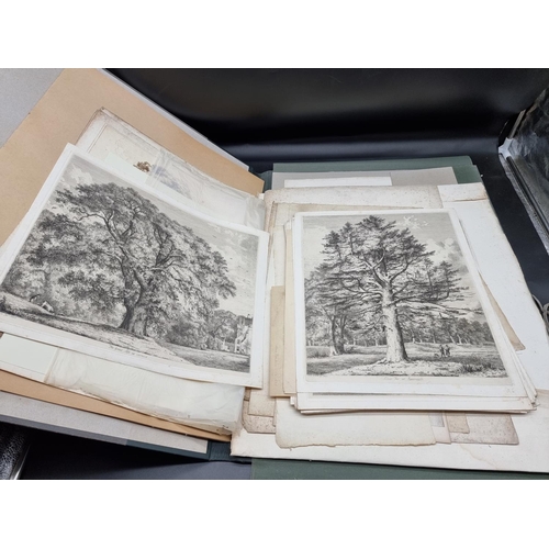 276 - PRINTS & ENGRAVINGS: TREES, 'The Dracaena Draco, or Celebrated Dragon Tree at Orotava in th... 