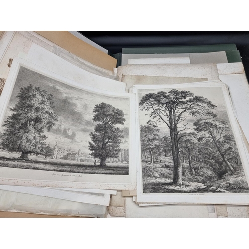 276 - PRINTS & ENGRAVINGS: TREES, 'The Dracaena Draco, or Celebrated Dragon Tree at Orotava in th... 