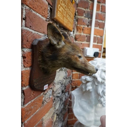 1343 - Taxidermy: a fox's head, on oak shield, inscribed 'Killed by Hambledon Hounds, Jan 1908...', labelle... 