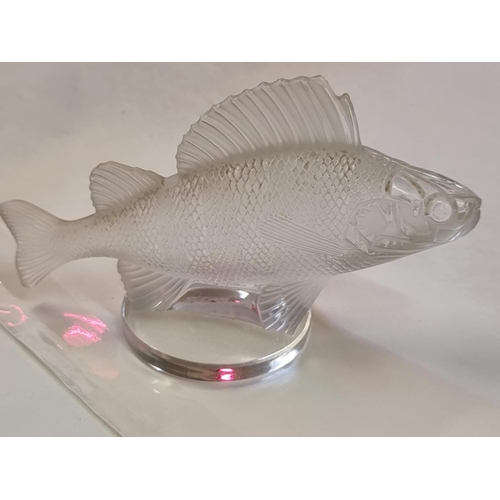 1251 - An R Lalique 'Perche' frosted glass car mascot, 16cm, (chips).