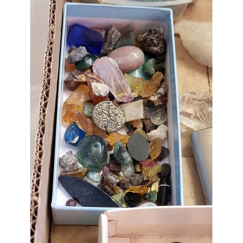 1259 - A collection of hardstone, crystal specimens and related.