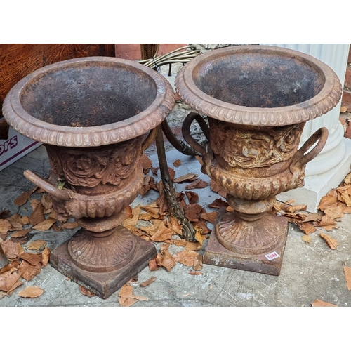 1089 - A pair of cast iron twin handled Campana urns, 49.5cm high.