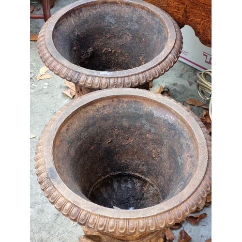 1089 - A pair of cast iron twin handled Campana urns, 49.5cm high.