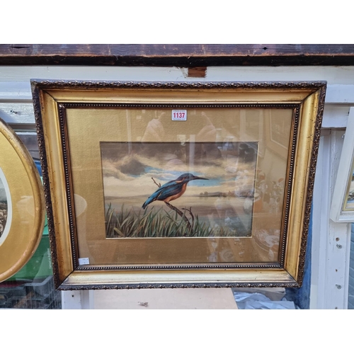 1137 - T G Whaite, a kingfisher, signed and dated 1898, oil on card, 22.5 x 34cm.  ... 