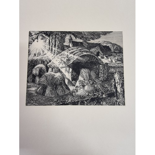 38 - ROBIN TANNER (British 1904-88): complete set of twelve etchings, 1989, each numbered 12/100 in penci... 