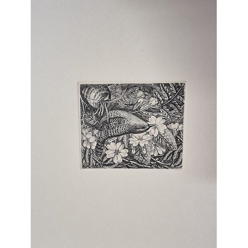 38 - ROBIN TANNER (British 1904-88): complete set of twelve etchings, 1989, each numbered 12/100 in penci... 