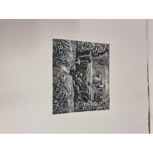 38 - ROBIN TANNER (British 1904-88): complete set of twelve etchings, 1989, each numbered 12/100 in penci... 