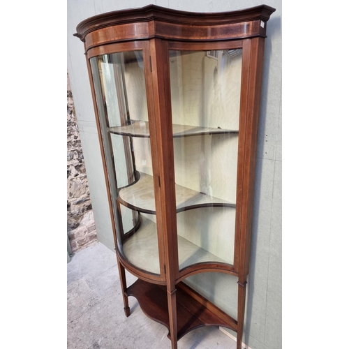 1029 - An Edwardian mahogany and inlaid serpentine display cabinet, 106cm wide.