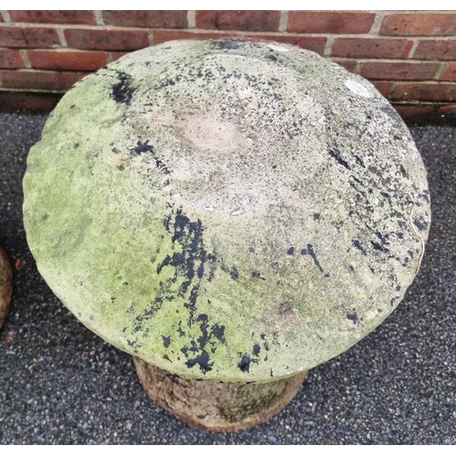 1041 - A pair of antique sandstone staddle stones, 73cm high.