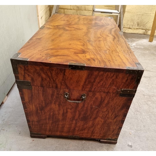 1081 - A 19th century camphor wood coffer, 46.5cm high x 92.5cm wide x 49cm deep. ... 