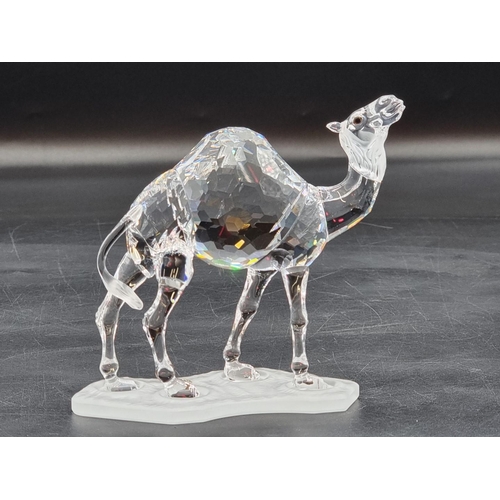 1216 - Swarovski: a camel, boxed. 