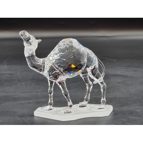 1216 - Swarovski: a camel, boxed. 