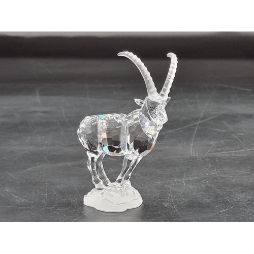 1219 - Swarovski: an Ibex from the 'Endangered Species' collection, boxed.