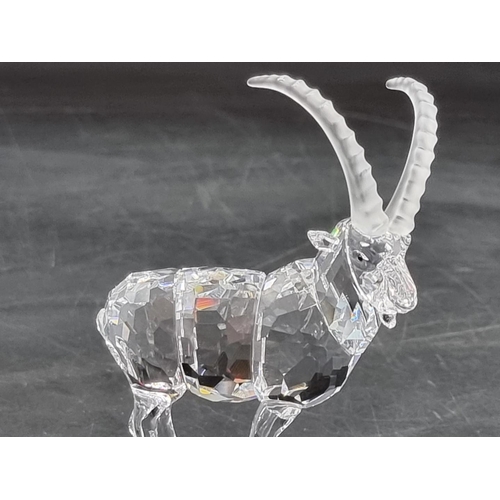 1219 - Swarovski: an Ibex from the 'Endangered Species' collection, boxed.