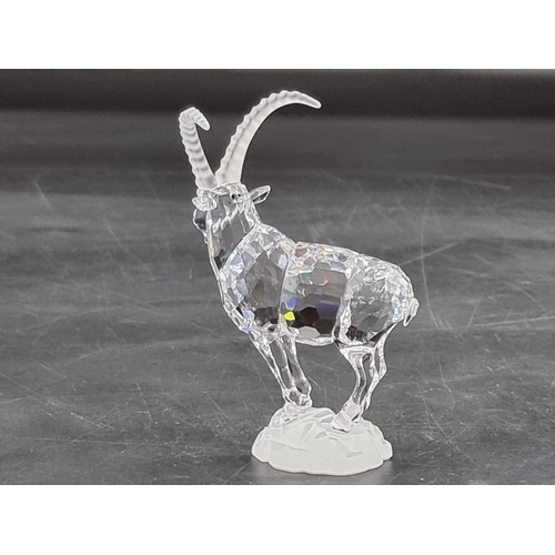 1219 - Swarovski: an Ibex from the 'Endangered Species' collection, boxed.