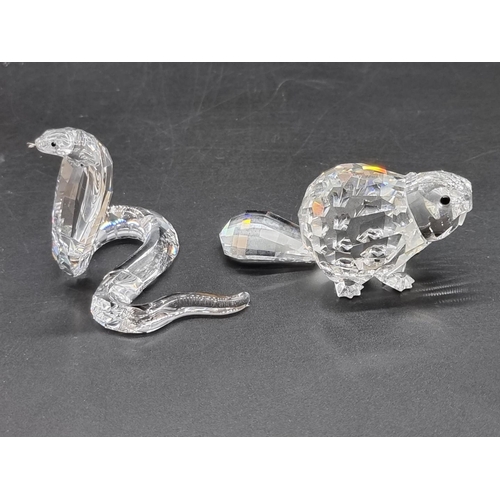 1228 - Swarovski: a group of eight animals, to include kangaroo, kiwi, beaver and snake, each boxed. (8)... 