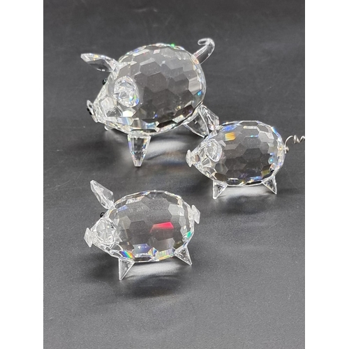 1230 - Swarovski: eleven animals, comprising: four pigs, two frogs, and five tortoises, each boxed. (11)... 