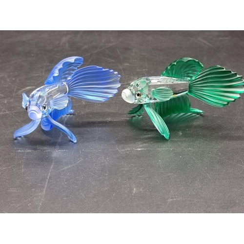 1232 - Swarovski: two Siamese Fighting Fish; together with a panda bear and cub, each boxed. (4)... 