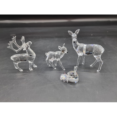 1234 - Swarovski: four deer, each boxed. (4)