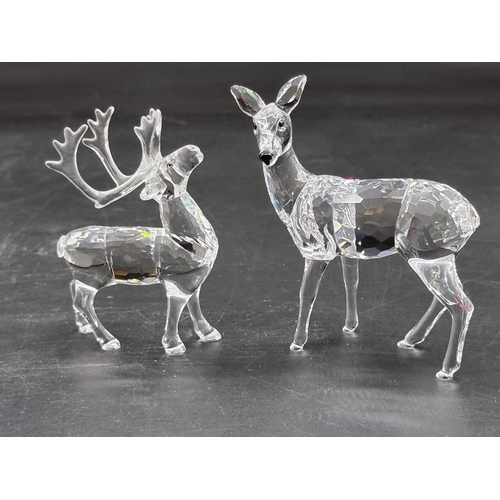 1234 - Swarovski: four deer, each boxed. (4)