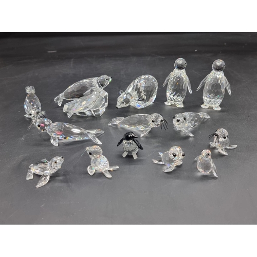 1237 - Swarovski: a group of polar animals, comprising: penguins, seals, and polar bear, each boxed. (14)... 