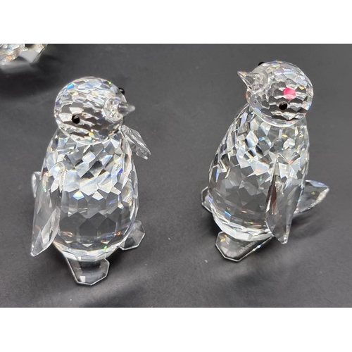 1237 - Swarovski: a group of polar animals, comprising: penguins, seals, and polar bear, each boxed. (14)... 