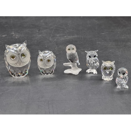 1240 - Swarovski: six owls, each boxed.  