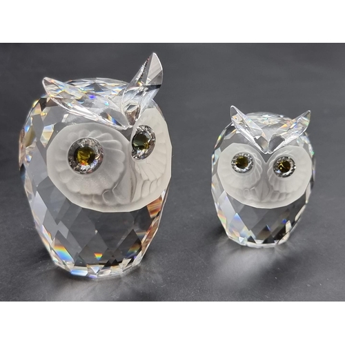 1240 - Swarovski: six owls, each boxed.  