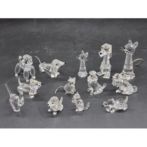 1242 - Swarovski: thirteen cats and dogs, each boxed. (13)