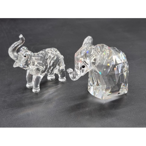 1243 - Swarovski: seven African animals, each boxed. (7)