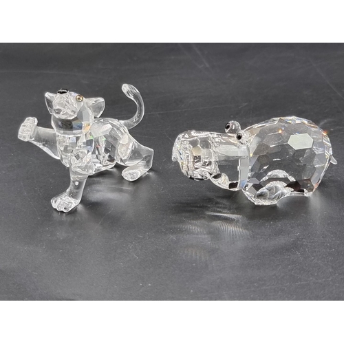 1243 - Swarovski: seven African animals, each boxed. (7)