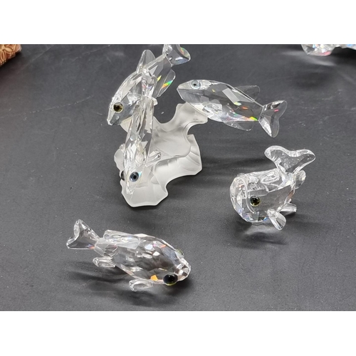 1244 - Swarovski: six whales and exotic fish, each boxed. (6)