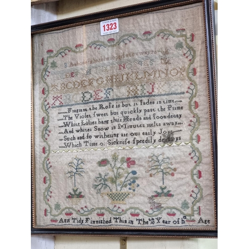 1323 - A near pair of 19th century needlework samplers, probably by sisters, one inscribed 'Ann Tidy, Finni... 